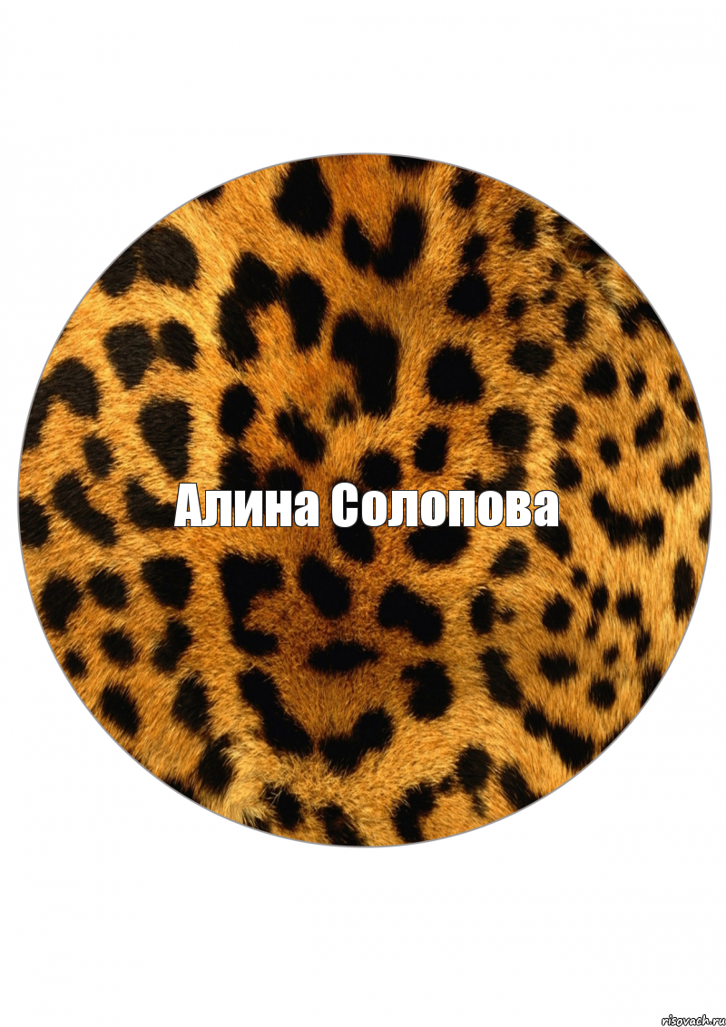 Алина Солопова, Комикс фзм