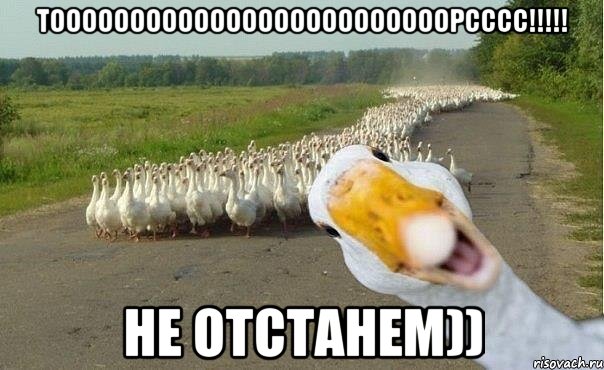 ТОООООООООООООООООООООООООРСССС!!!!! НЕ ОТСТАНЕМ)), Мем гуси