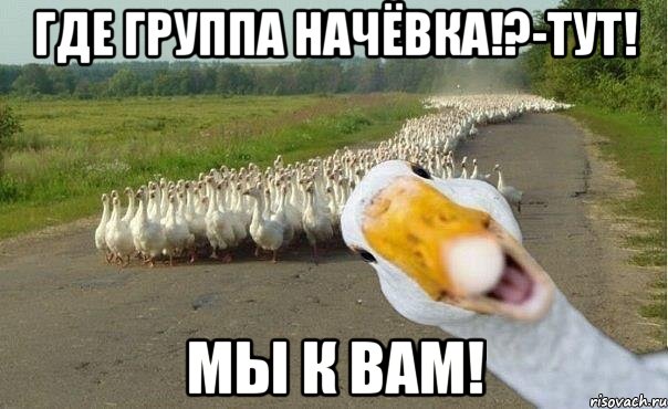 ГДЕ ГРУППА НАЧЁВКА!?-ТУТ! МЫ К ВАМ!