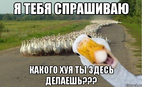 Я ТЕБЯ СПРАШИВАЮ КАКОГО ХУЯ ТЫ ЗДЕСЬ ДЕЛАЕШЬ???