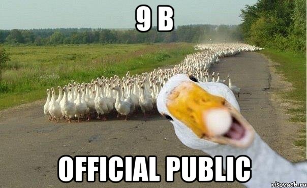 9 b official public, Мем гуси