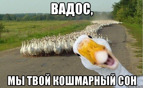 ВАДОС, мы твой кошмарный сон