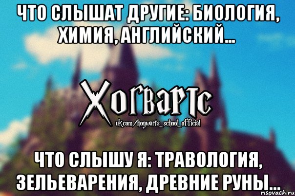 Что слышат другие: биология, химия, английский... Что слышу я: Травология, зельеварения, древние руны..., Мем Хогвартс