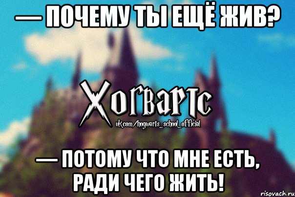 — Почему ты ещё жив? — Потому что мне есть, ради чего жить!, Мем Хогвартс