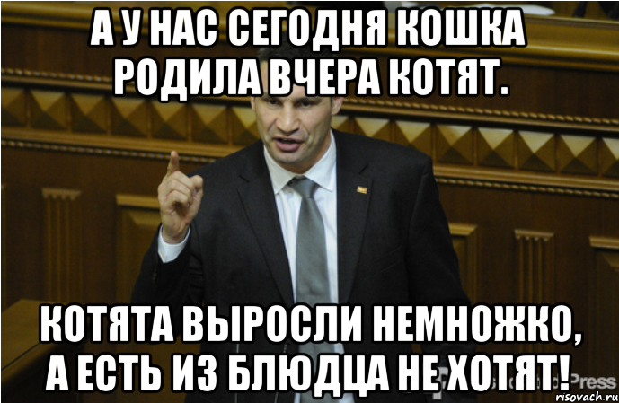 А у нас сегодня кошка Родила вчера котят. Котята выросли немножко, А есть из блюдца не хотят!, Мем кличко философ