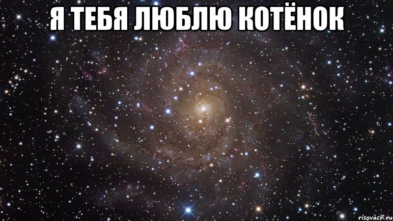 Любимый мем