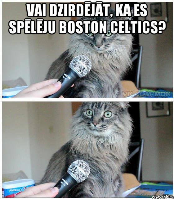 Vai dzirdējāt, ka es spēlēju Boston Celtics? , Комикс  кот с микрофоном