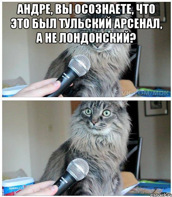 АНДРЕ, ВЫ ОСОЗНАЕТЕ, ЧТО ЭТО БЫЛ ТУЛЬСКИЙ АРСЕНАЛ, А НЕ ЛОНДОНСКИЙ? , Комикс  кот с микрофоном