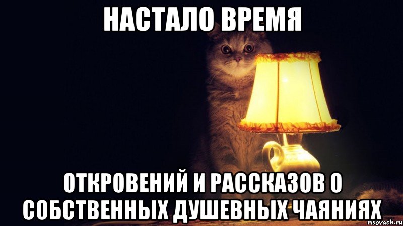 НАСТАЛО ВРЕМЯ ОТКРОВЕНИЙ И РАССКАЗОВ О СОБСТВЕННЫХ ДУШЕВНЫХ ЧАЯНИЯХ, Мем Кот