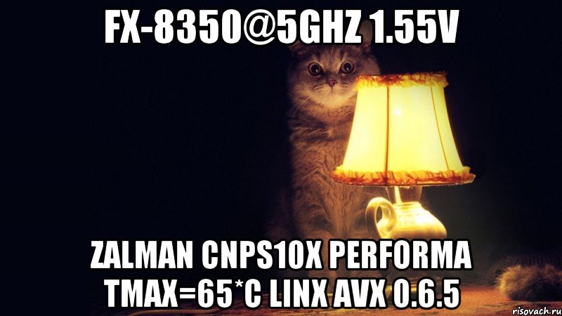 FX-8350@5GHz 1.55v zalman cnps10x performa Tmax=65*C LinX AVX 0.6.5, Мем Кот