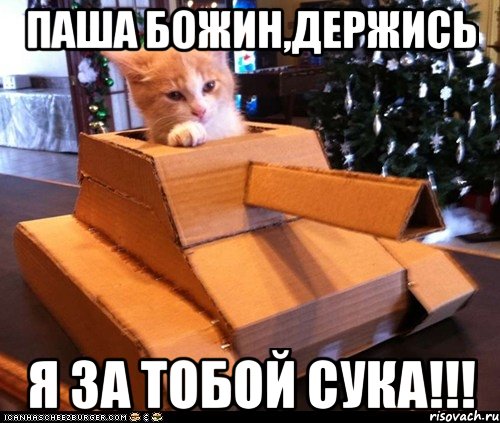 Паша Божин,Держись Я ЗА ТОБОЙ СУКА!!!, Мем Котэ танкист