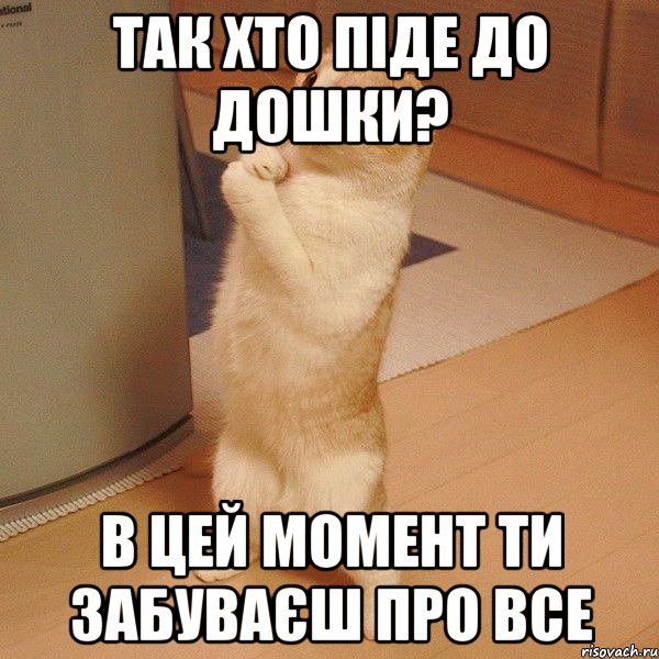 Так хто піде до дошки? В цей момент ти забуваєш про все, Мем  котэ молится