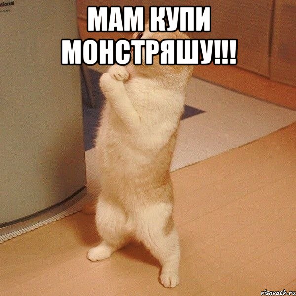 мам купи монстряшу!!! , Мем  котэ молится