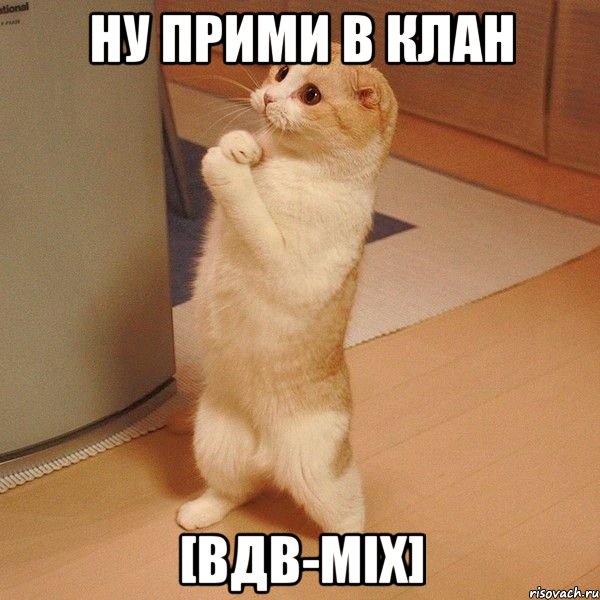 НУ ПРИМИ В КЛАН [ВДВ-MIX], Мем  котэ молится