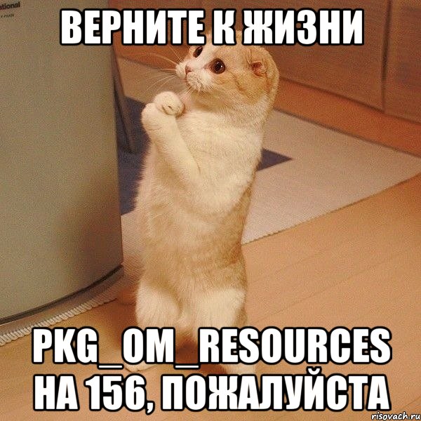 Верните к жизни PKG_OM_RESOURCES на 156, пожалуйста, Мем  котэ молится