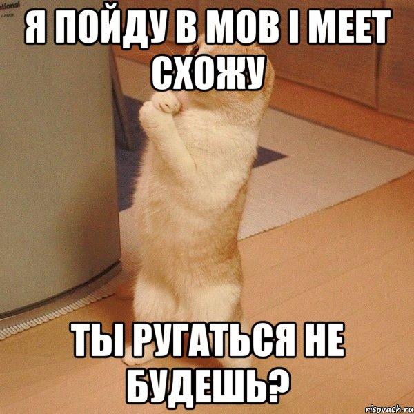 Я пойду в Mob I meet схожу Ты ругаться не будешь?, Мем  котэ молится