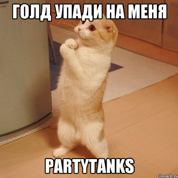 Голд упади на меня PartyTanks, Мем  котэ молится