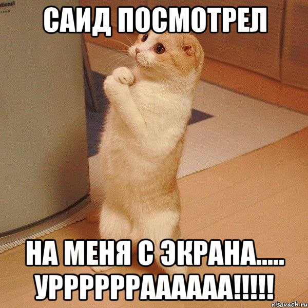 Саид посмотрел На меня с экрана..... Урррррраааааа!!!!!, Мем  котэ молится