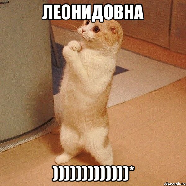 ЛЕОНИДОВНА )))))))))))))*, Мем  котэ молится