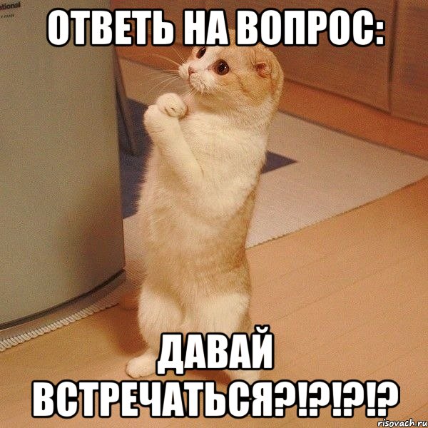 ОтВеТь На ВоПрОс: ДаВаЙ ВсТрЕчАтЬсЯ?!?!?!?, Мем  котэ молится