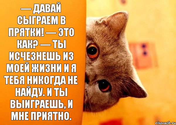 — Давай сыграем в прятки! — Это как? — Ты исчезнешь из моей жизни и я тебя никогда не найду. И ты выиграешь, и мне приятно., Комикс Котенок