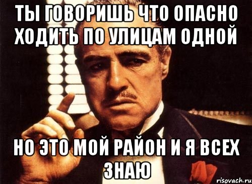 Ты говоришь что опасно ходить по улицам одной но это мой район и я всех знаю, Мем крестный отец