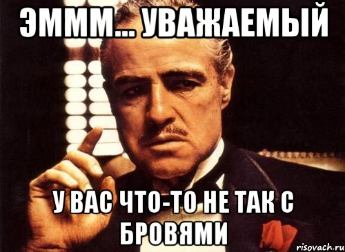 Эммм... Уважаемый У вас что-то не так с бровями, Мем крестный отец