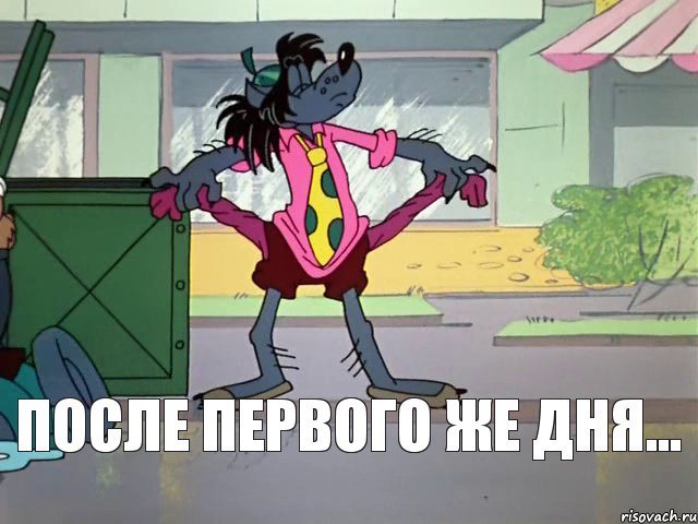 После первого же дня...