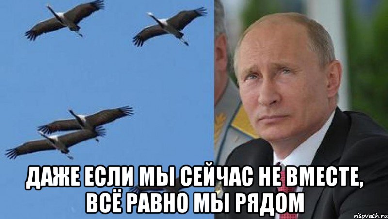 То было. Путин в небе с журавлями. Журавль мемы. Курлы курлы Мем. Путин и Журавли мемы.