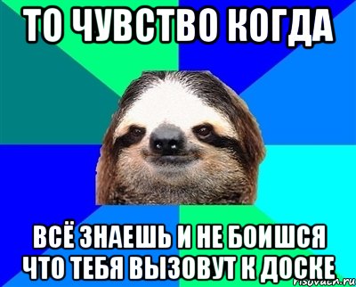 ТО ЧУВСТВО КОГДА ВСЁ ЗНАЕШЬ И НЕ БОИШСЯ ЧТО ТЕБЯ ВЫЗОВУТ К ДОСКЕ, Мем Ленивец