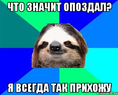 ЧТО ЗНАЧИТ ОПОЗДАЛ? Я ВСЕГДА ТАК ПРИХОЖУ, Мем Ленивец