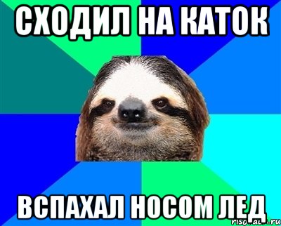 СХОДИЛ НА КАТОК ВСПАХАЛ НОСОМ ЛЕД, Мем Ленивец