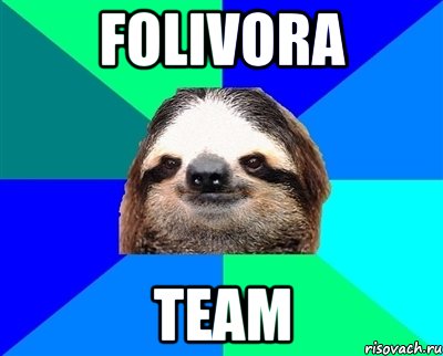 FOLIVORA TEAM, Мем Ленивец