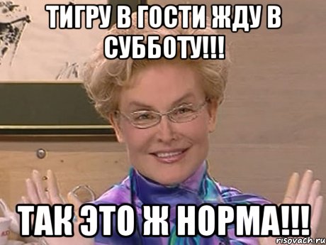 Тигру в гости жду в субботу!!! Так это ж НОРМА!!!, Мем Елена Малышева