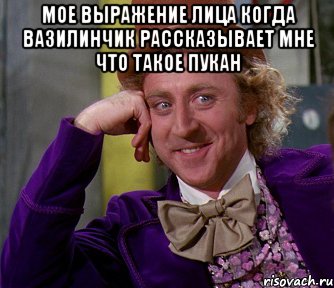 Мое выражение лица когда вазилинчик рассказывает мне что такое пукан , Мем мое лицо