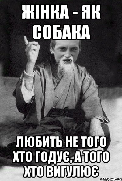 Жінка - як собака любить не того хто годує, а того хто вигулює, Мем Мудрий паца