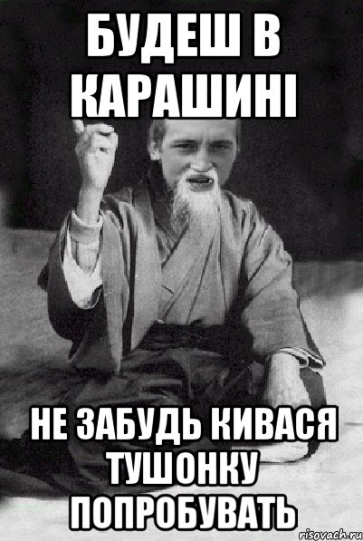 Будеш в Карашині не забудь Кивася тушонку попробувать, Мем Мудрий паца