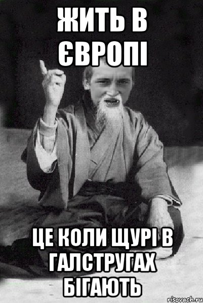 жить в європі це коли щурі в галстругах бігають, Мем Мудрий паца