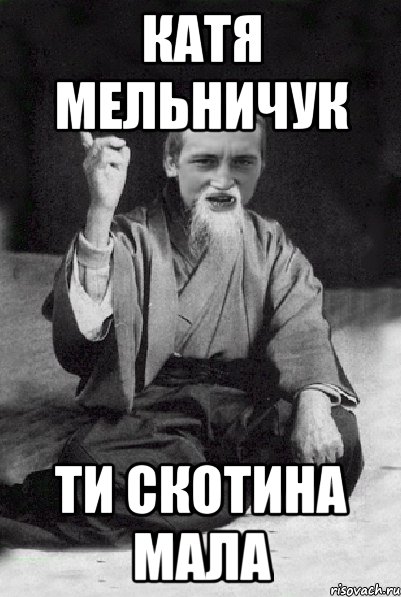 катя мельничук ти скотина мала, Мем Мудрий паца