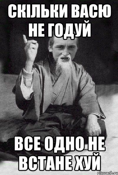 Скільки Васю не годуй Все одно не встане хуй, Мем Мудрий паца