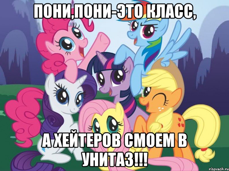 Пони,пони-это класс, А хейтеров смоем в унитаз!!!, Мем My little pony