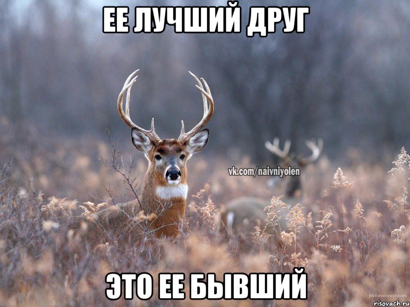 Ее лучший друг Это ее бывший, Мем   Наивный олень