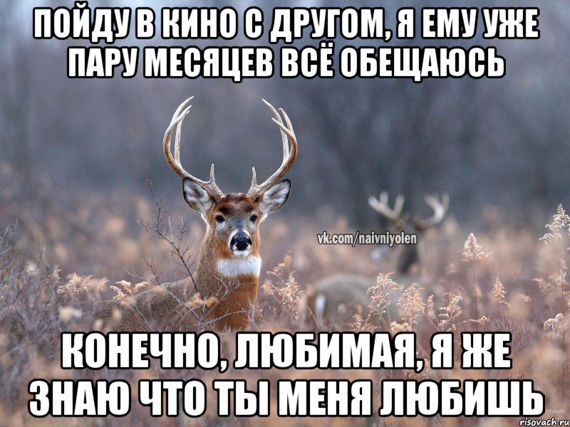 Пойду в кино с другом, я ему уже пару месяцев всё обещаюсь Конечно, любимая, я же знаю что ты меня любишь, Мем   Наивный олень