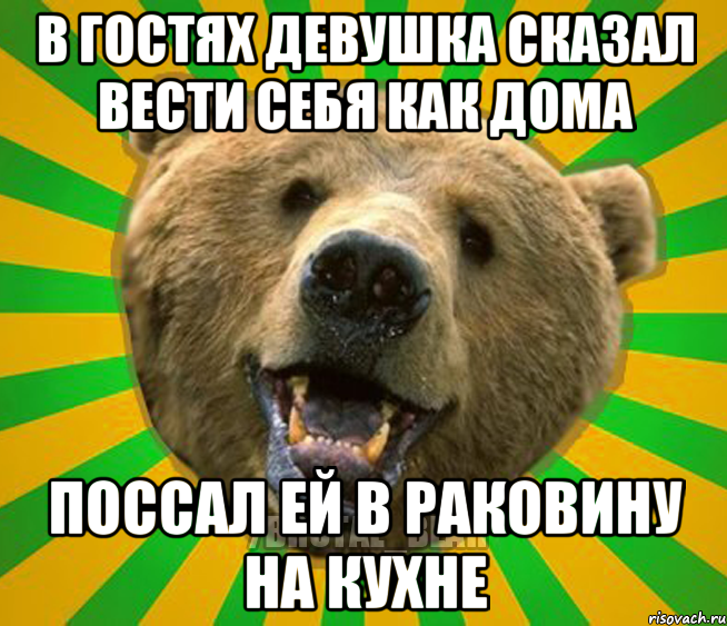 В ГОСТЯХ ДЕВУШКА СКАЗАЛ ВЕСТИ СЕБЯ КАК ДОМА ПОССАЛ ЕЙ В РАКОВИНУ НА КУХНЕ, Мем Нелепый медведь