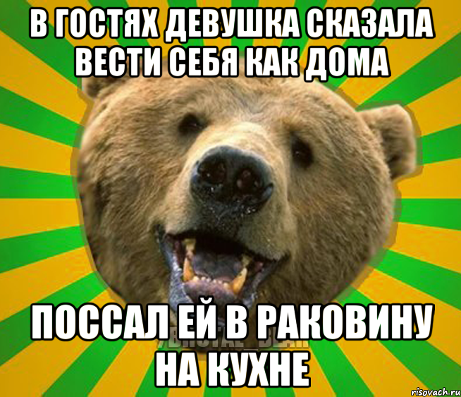 В ГОСТЯХ ДЕВУШКА СКАЗАЛА ВЕСТИ СЕБЯ КАК ДОМА ПОССАЛ ЕЙ В РАКОВИНУ НА КУХНЕ, Мем Нелепый медведь