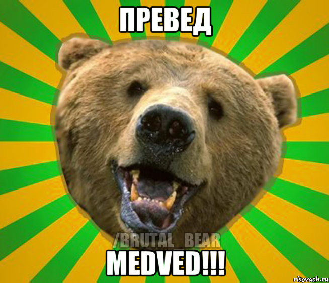 ПРЕВЕД MEDVED!!!, Мем Нелепый медведь