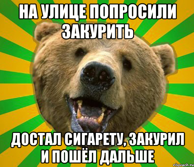 НА УЛИЦЕ ПОПРОСИЛИ ЗАКУРИТЬ ДОСТАЛ СИГАРЕТУ, ЗАКУРИЛ И ПОШЁЛ ДАЛЬШЕ, Мем Нелепый медведь