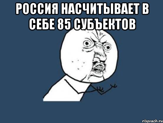 Россия насчитывает в себе 85 субъектов , Мем Ну почему