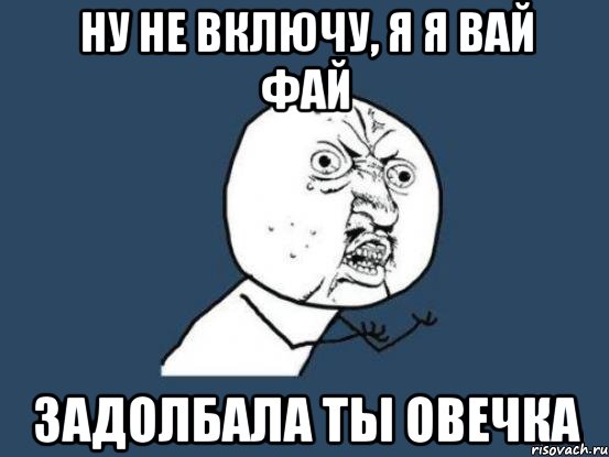 Ну не включу, я я вай фай ЗАДОЛБАЛА ТЫ ОВЕЧКА, Мем Ну почему