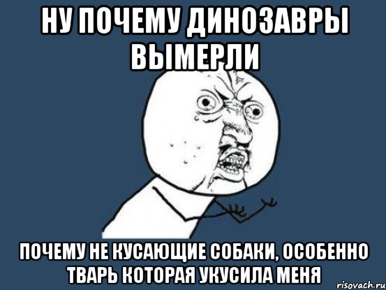 ну почему динозавры вымерли почему не кусающие собаки, особенно тварь которая укусила меня, Мем Ну почему